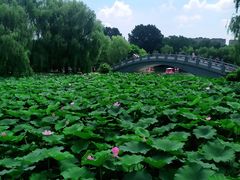 -二一九公园