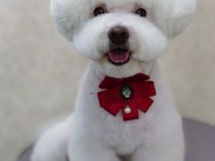 -乐琪宠物(青塔西路店)