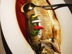 -醉庐·新上海菜(南京西路店)