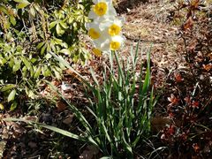 -TIAT DUTY FREE SHOP NORTH(羽田机场店)