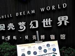 -贝壳梦幻世界