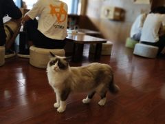 -万达广场(东莞厚街店)