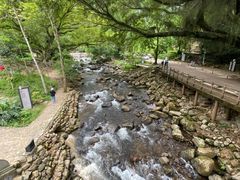 -广州市石门国家森林公园