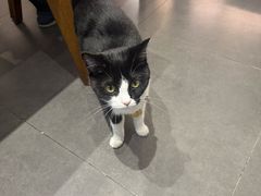 -原田新料理(1912店)