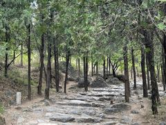 -阳台山自然风景区