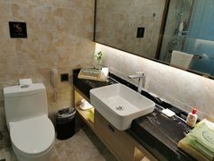 -良友富临大酒店(泉城广场大明湖店)