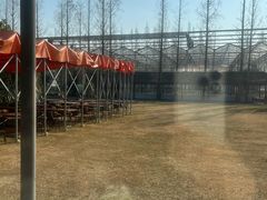 -前小桔亲子创意农场·草莓采摘·露营烧烤