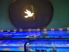 -鸽子侯·家宴·平价海鲜(市图书馆店)