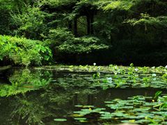 -虎跑公园