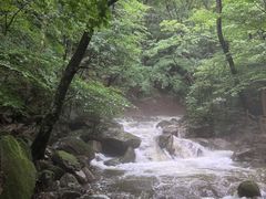 -本溪汤沟绿石谷森林公园