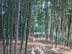 -江南荣村(小溪店)