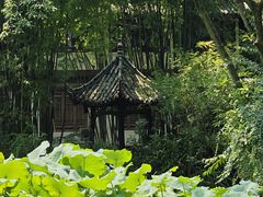 -三苏祠