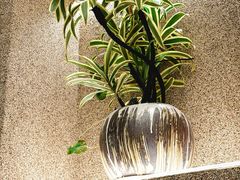 -苏小柳点心·手作小笼包(CP静安寺分院)