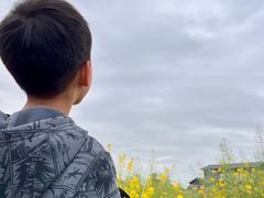 -三圣花乡旅游区