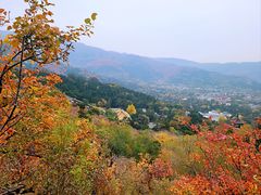 -香山公园