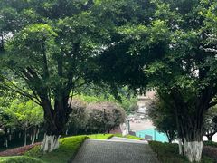 -龙头寺公园