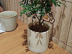 -CURRY YA 熟成咖哩專門店(深圳湾万象城店)