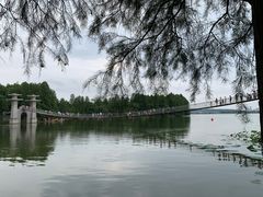 -东湖落雁景区