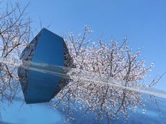 -龙美术馆西岸馆-停车场