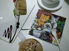 -喵的天空名猫咖啡馆·撸猫·猫舍·用品