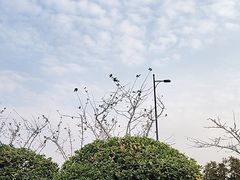 -比斯特上海购物村精品奥特莱斯