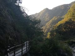 -罗田天堂寨风景区
