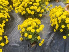 -贵州省植物园