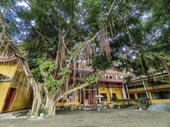 -漳州云洞岩风景区-瑞竹岩