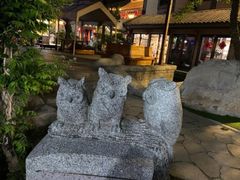 -渡海小渔村.老辈日照菜