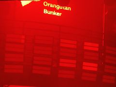 -Orangutan Bunker猩猩地堡酒吧(兰桂坊店)