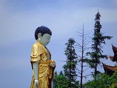 -冶父山国家森林公园