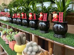 -李村大集