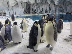-珠海长隆海洋王国