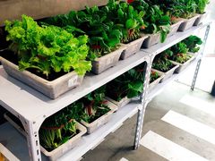 自助取餐区-捞围鲜·港式打边炉(海阳路店)