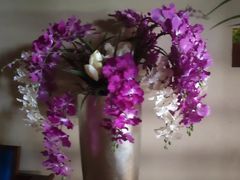 -南亚水鑫温泉SPA(恒宇商业广场店)