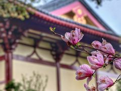 -庐山风景名胜区-东林大佛