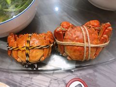 -乡乐园蟹庄·阳澄湖农家乐