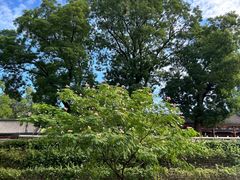 -红螺寺