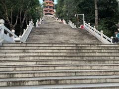 -红花山公园