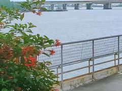 -广东紫坭糖厂(桥头路)