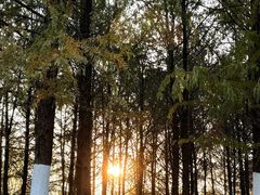-滨湖塘西河公园