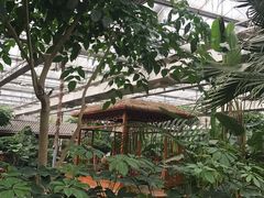 -汤山翠谷生态餐厅