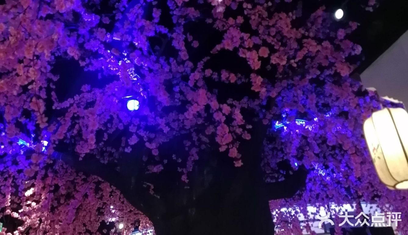 节日,请到暗恋桃花林