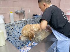 -FAELING PETS美天灵宠物(富力广场店)