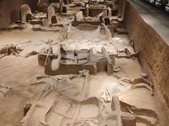 -洛阳周王城天子驾六博物馆