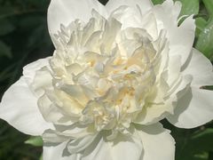 -仁和公园(顺义区)