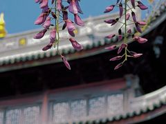 -龙华寺
