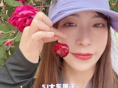-萝卜寨羌文化生态旅游区