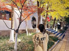 -运河游船(武林门码头)