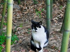 -苏州河梦清园环保主题公园